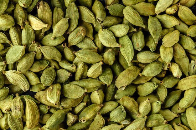 How to grow cardamom