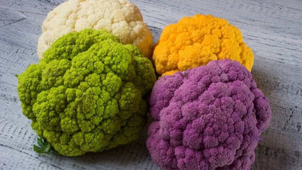 Grow cauliflower from seed