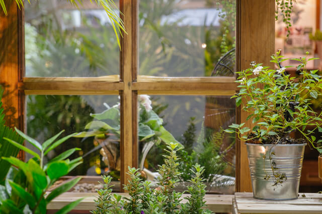 balcony garden