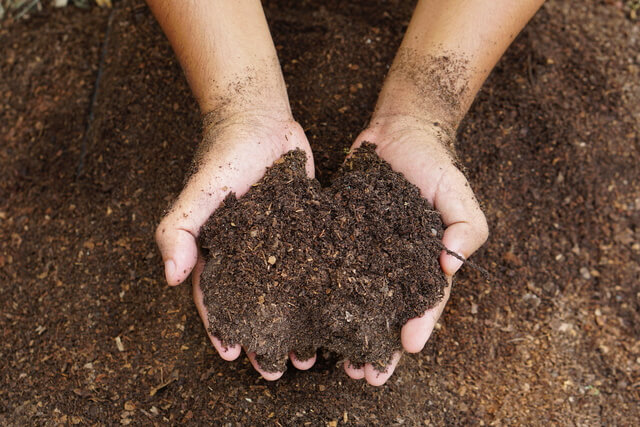 farmers mix the soil to grow crops