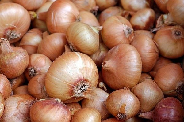 onions ga57afae16 640 1