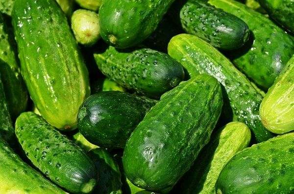 cucumbers g6915d6e8a 640 1