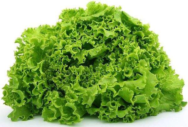 lettuce g2d2d1860c 640 1