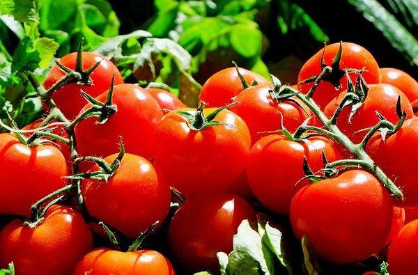 tomatoes g15c38bb85 640 1