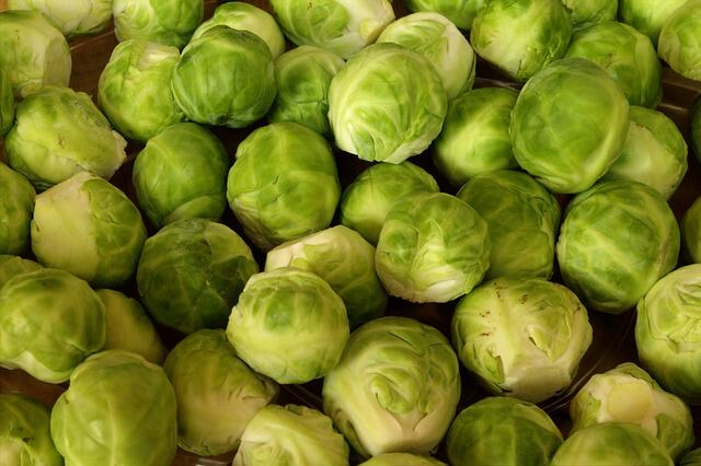 brussels sprouts g921f91a86 640 1