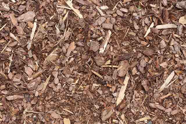 bark mulch g753f06e6e 640 1