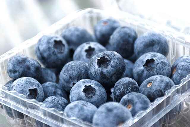 blueberries g0ba227b47 640 1