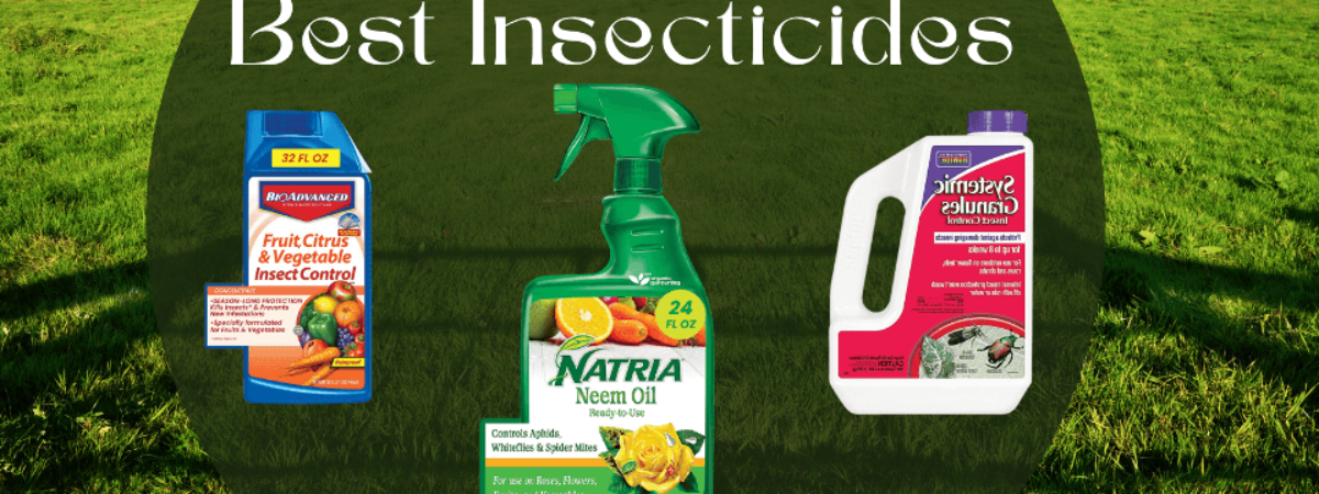Best Insecticides