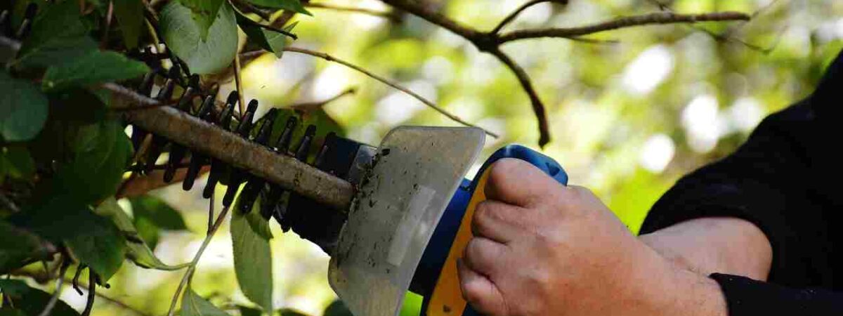 hedge trimmer