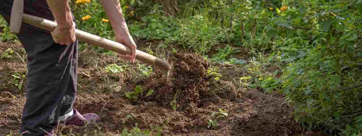 gardening spade