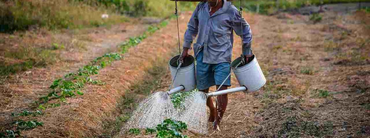 watering can